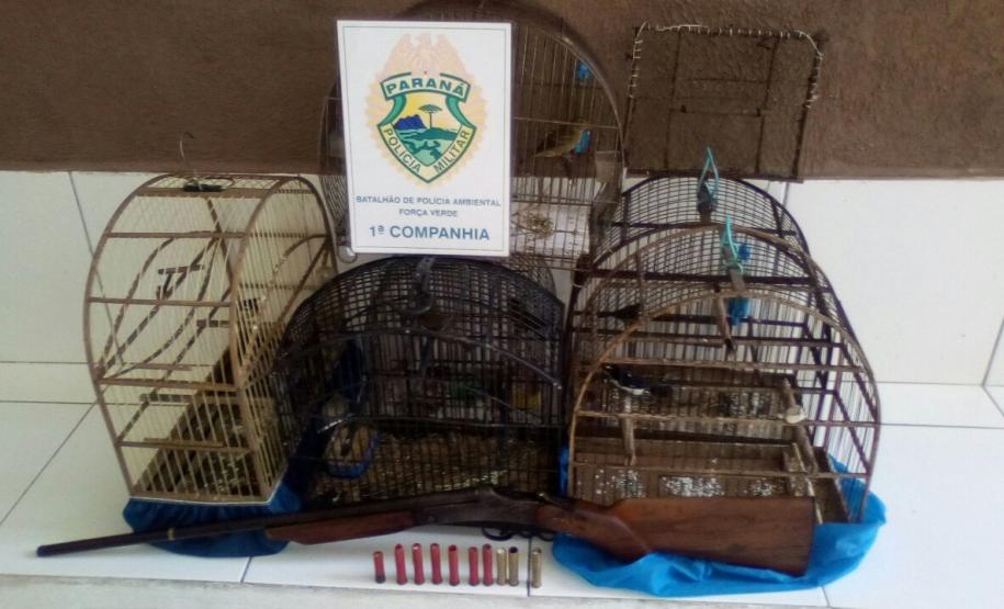Em Morretes e Antonina, 21 aves silvestres são resgatadas e uma arma de fogo é apreendida