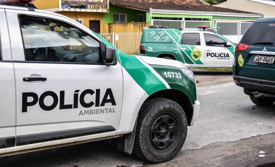 16 02 18 MatinhosResgaste de aves que estavam prontas para serem comercializadas ilegalmente