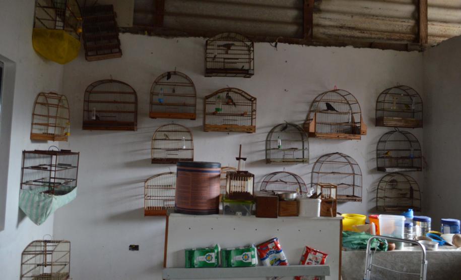 16 02 18 MatinhosResgaste de aves que estavam prontas para serem comercializadas ilegalmente