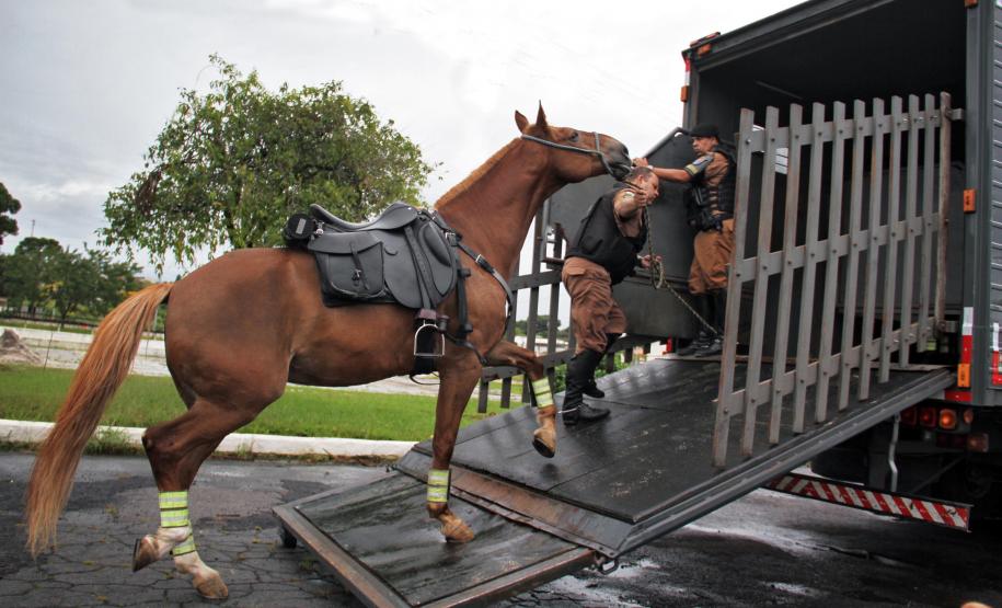 Curitiba, 16 de Fevereiro de 2018. Operação Polícia Militar e Prefeitura