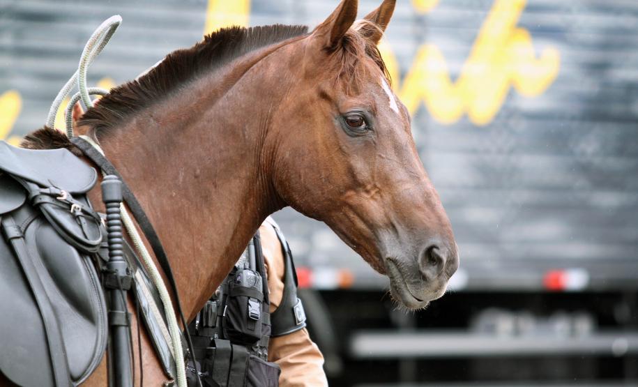 Curitiba, 16 de Fevereiro de 2018. Operação Polícia Militar e Prefeitura