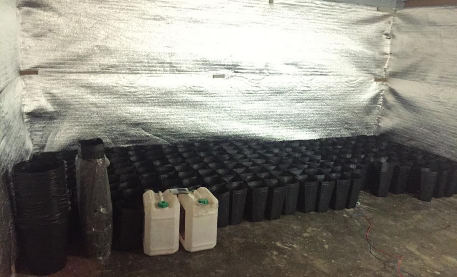 PM apreende 155 mudas de maconha, carregadores, munições, fertilizantes e demais materiais em Colombo