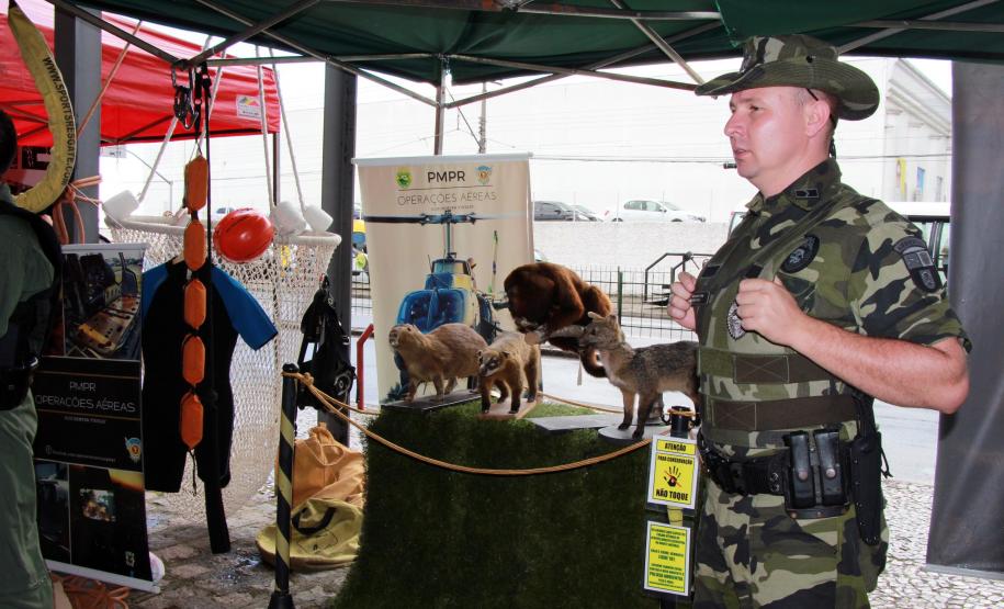 Curitiba, 03 de Março de 2018.