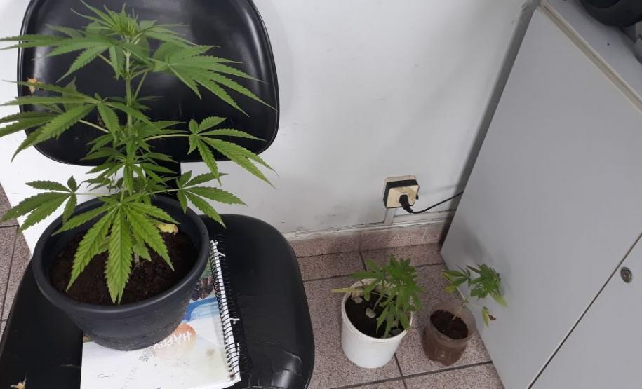 Pistolas de uso restrito e carros roubados são apreendidos pela PM em São José dos Pinhais, na RMC