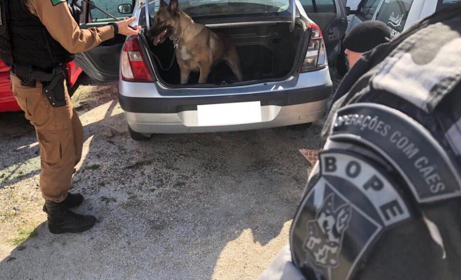 Militares estaduais passam por capacitação de adestramento e condução de cães farejadores com o BOPE Militares estaduais passam por capacitação de adestramento e condução de cães farejadores com o BOPE