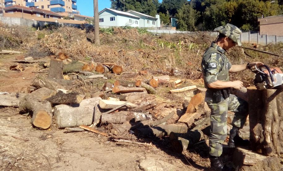 Trio é encaminhado pela Polícia Ambiental por corte de árvores em uma área de preservação ambiental