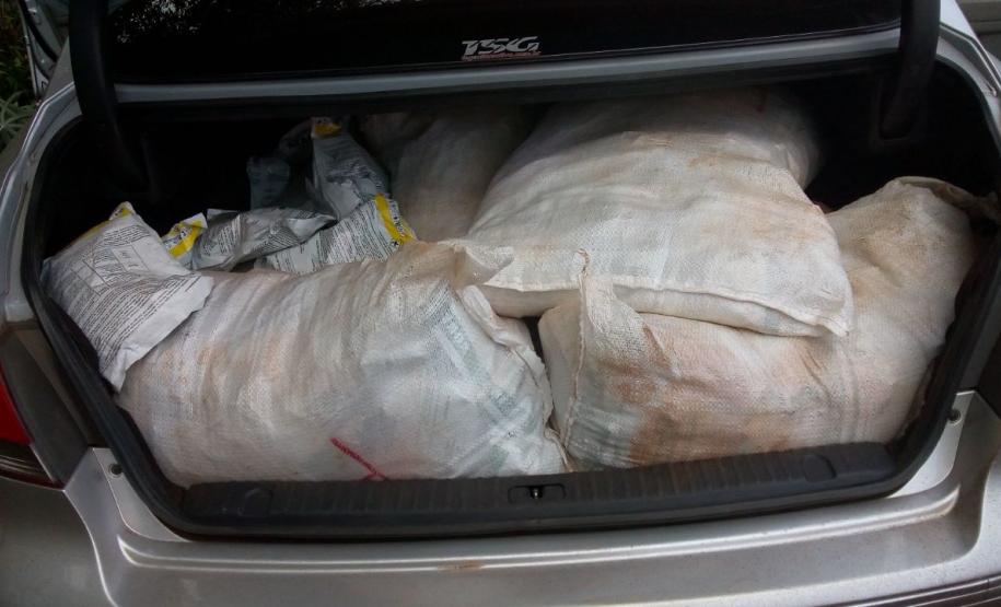 Polícia Militar apreende 250 quilos de veneno contrabandeado em Terra Roxa (PR) Polícia Militar apreende 250 quilos de veneno contrabandeado em Terra Roxa (PR)