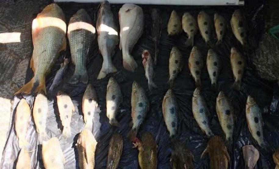 Pescados são apreendidos pela PM durante abordagem na PR 485, em Xambrê (PR) Pescados são apreendidos pela PM durante abordagem na PR 485, em Xambrê (PR)