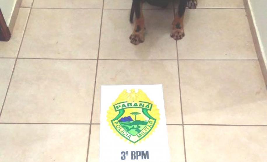 Armas de fogo são apreendidas e homem é encaminhado por policiais militares no Sudoeste do estado Armas de fogo são apreendidas e homem é encaminhado por policiais militares no Sudoeste do estado