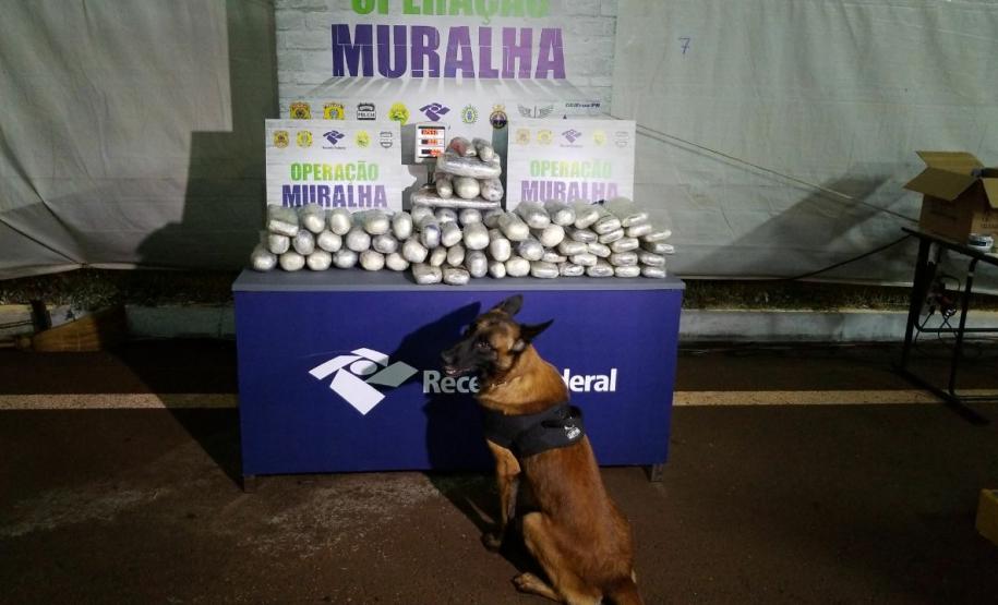 Abordagem do BPFron em São Miguel do Iguaçu resulta em mais de 65 quilos de haxixe apreendidos