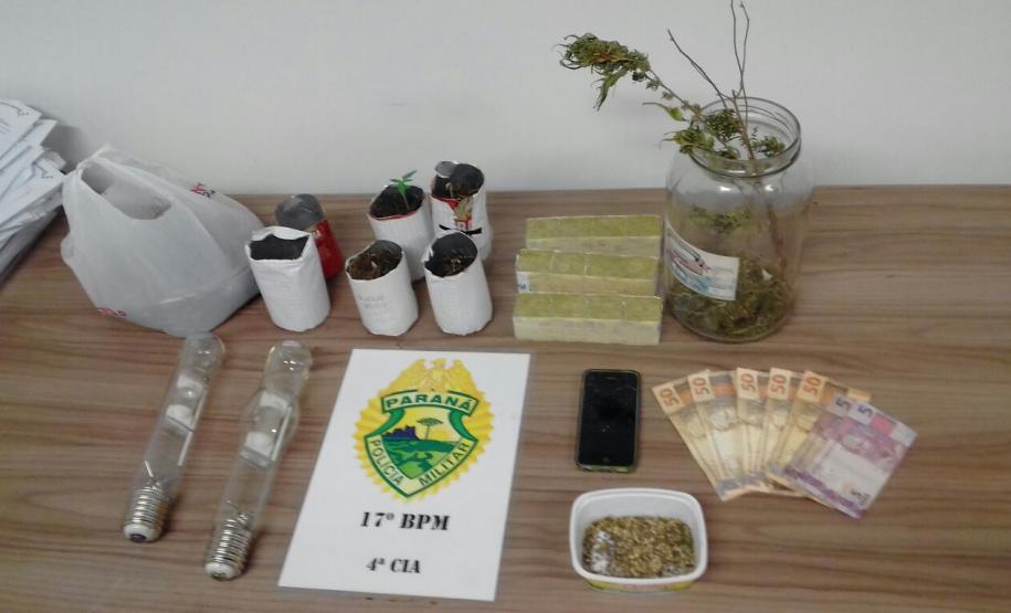Em Fazenda Rio Grande, PM apreende mudas de maconha e prende suspeito
