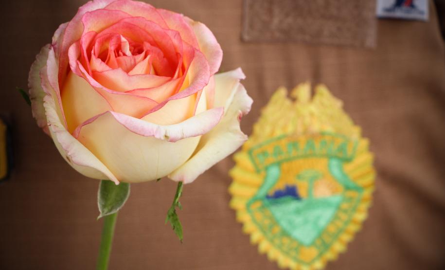 Curitiba, 11 de maio de 2018. 11-05-2018 Entrega de rosas em homenagem ao Dia das Mães