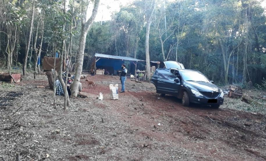 PM aborda chácara e apreende mais de 30 quilos de maconha em Cascavel (PR), no Oeste do estado