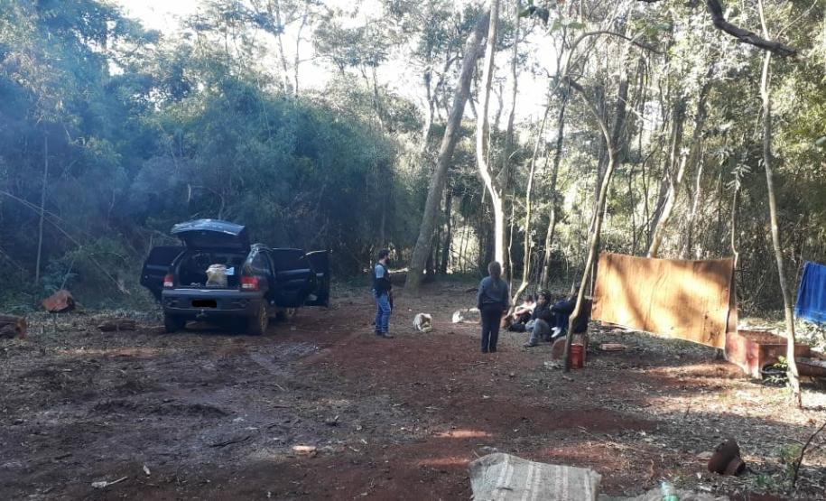 PM aborda chácara e apreende mais de 30 quilos de maconha em Cascavel (PR), no Oeste do estado