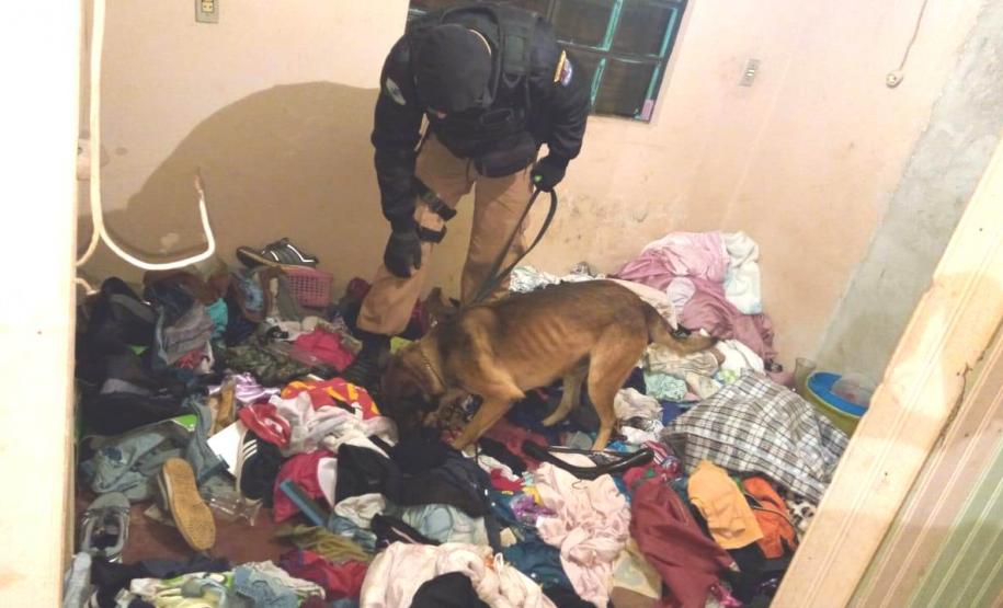 Drogas, armas e dinheiro são apreendidos pela Polícia Militar em residências na cidade de Pato Branco