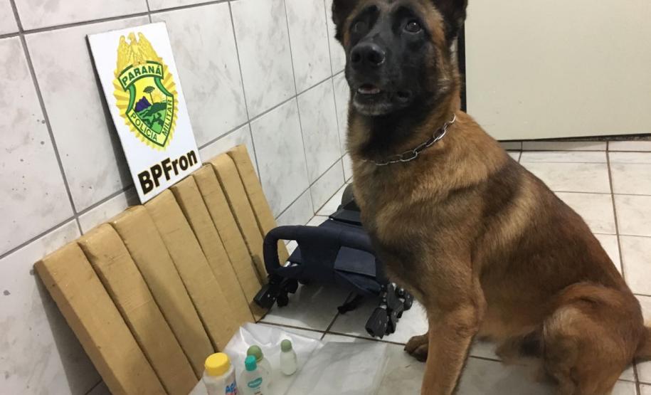 Mulher que estava com bebê de cinco meses é presa pelo BPFron com mais de nove quilos de maconha no Oeste do estado Mulher que estava com bebê de cinco meses é presa pelo BPFron com mais de nove quilos de maconha no Oeste do estado