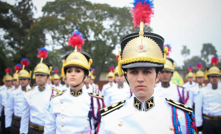 Curitiba, 15 de Junho de 2018.