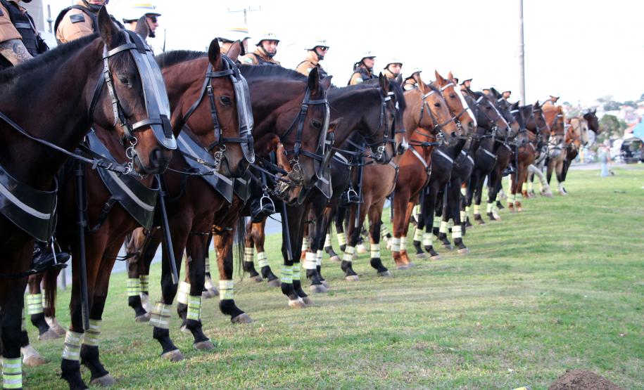 Curitiba, 21 de junho de 2018 - Operação RPMon.