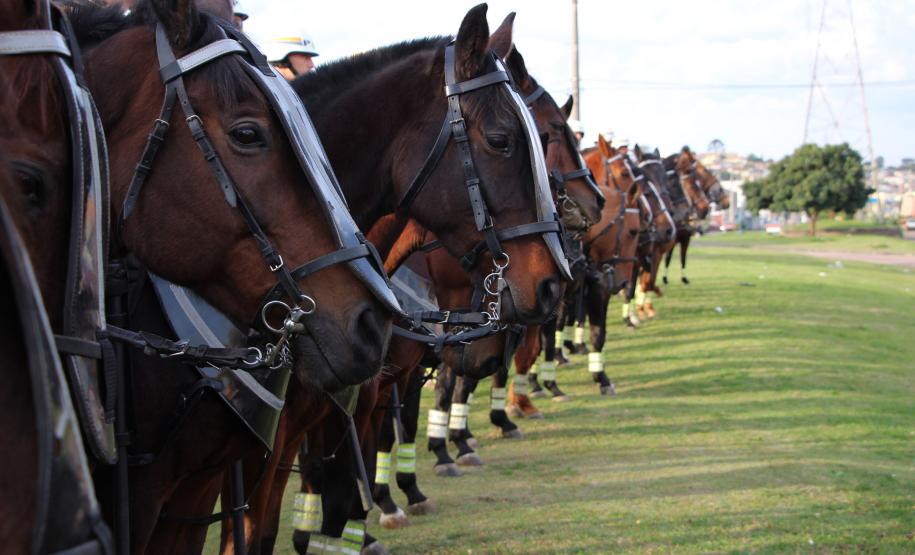 Curitiba, 21 de junho de 2018 - Operação RPMon.
