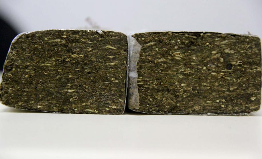 Operação Esforço Integrado aborda mais de 24 mil pessoas e apreende 1,5 tonelada de maconha em uma semana na região de fronteira