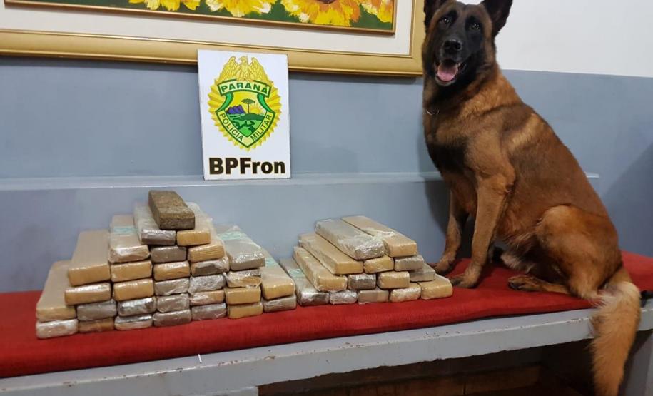 BPFron apreende quase 30 quilos de maconha, prende homem e encaminha adolescente no Oeste do estado
