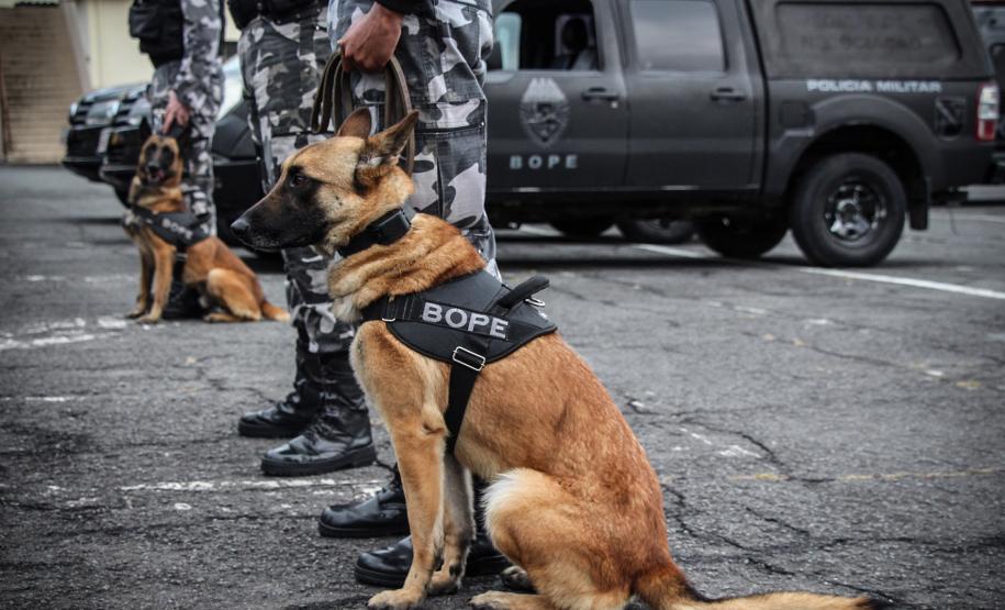 Curitiba, 09 de agosto de 2018. Operação Bope