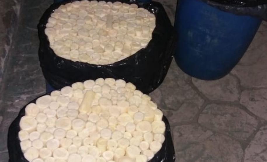 Palmito in natura é apreendido pela Polícia Ambiental no ferry boat de Guaratuba (PR), no Litoral do estado Palmito in natura é apreendido pela Polícia Ambiental no ferry boat de Guaratuba (PR), no Litoral do estado