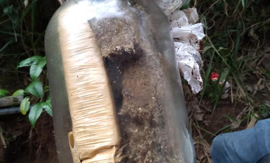 Mais de 1,3 quilos de maconha são apreendidos no Norte Pioneiro do Estado