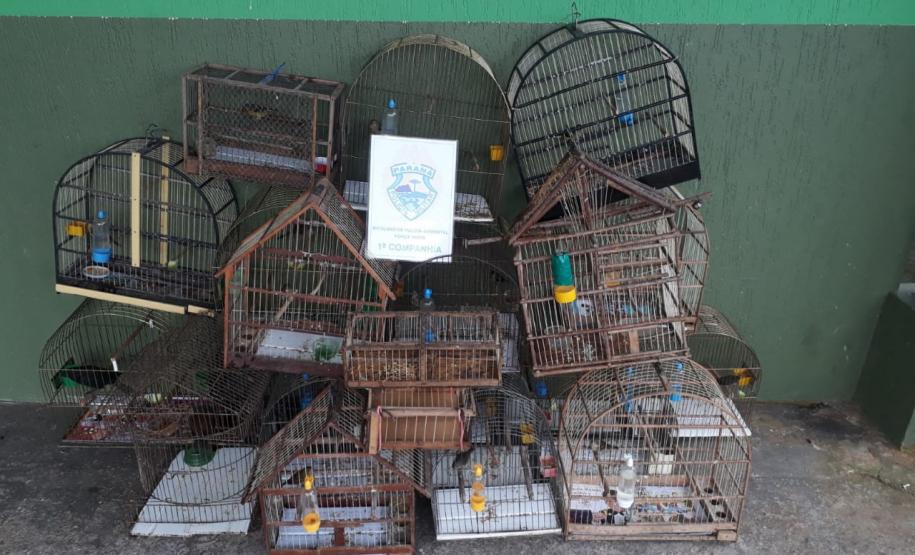 BPAmb-FV apreende 22 pássaros silvestres mantidos em cativeiro em Antonina (PR) BPAmb-FV apreende 22 pássaros silvestres mantidos em cativeiro em Antonina (PR)
