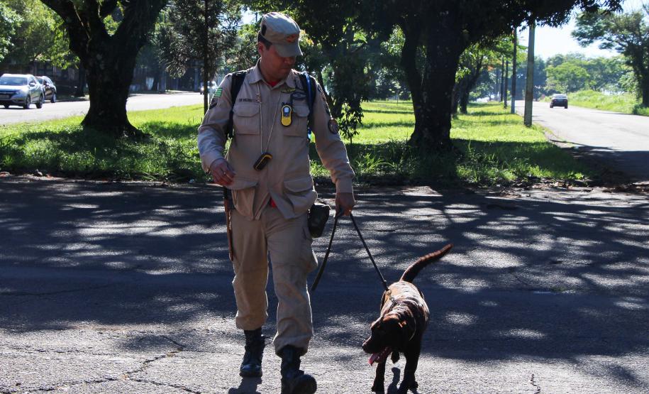 Foz do Iguaçu, 19 de novembro de 2018. Prova de Certificação de Cães - BM