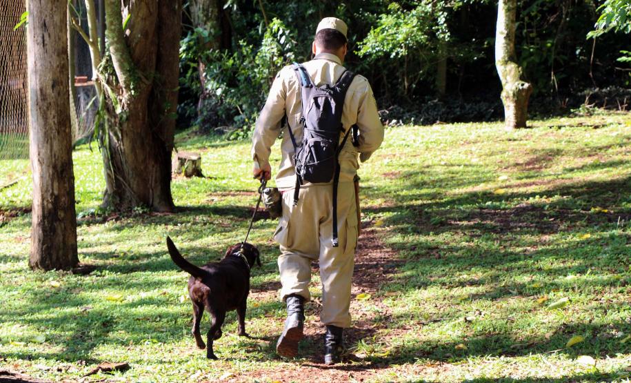 Foz do Iguaçu, 19 de novembro de 2018. Prova de Certificação de Cães - BM