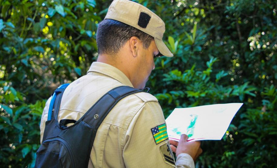 Foz do Iguaçu, 19 de novembro de 2018. Prova de Certificação de Cães - BM