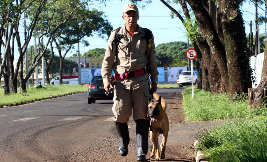 Foz do Iguaçu, 19 de novembro de 2018. Prova de Certificação de Cães - BM