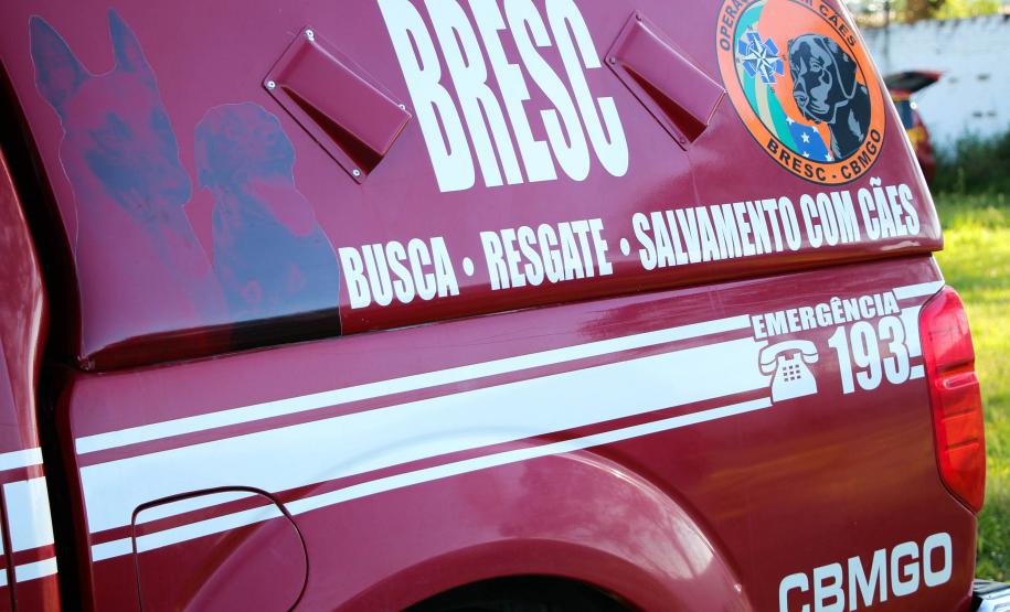 Paraná sedia Certificação Nacional em Cães em Foz do Iguaçu, no Oeste do estado