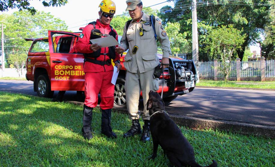 Paraná sedia Certificação Nacional em Cães em Foz do Iguaçu, no Oeste do estado