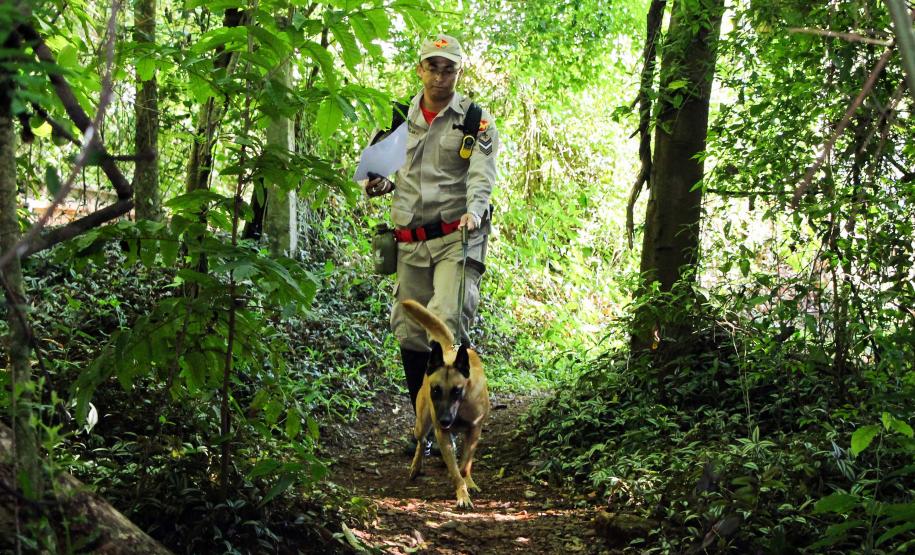 Paraná sedia Certificação Nacional em Cães em Foz do Iguaçu, no Oeste do estado