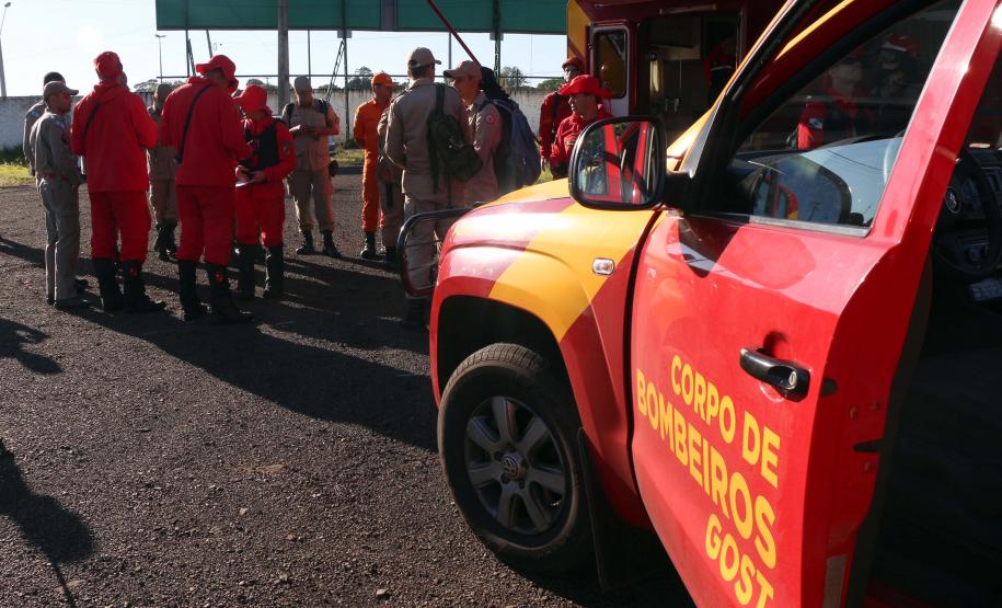 Paraná sedia Certificação Nacional em Cães em Foz do Iguaçu, no Oeste do estado