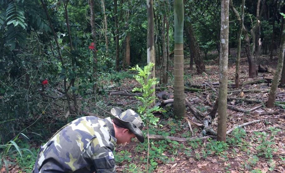Policiais ambientais participam da Faxina Ecológica no Rio Piquiri, no Noroeste do estado Policiais ambientais participam da Faxina Ecológica no Rio Piquiri, no Noroeste do estado
