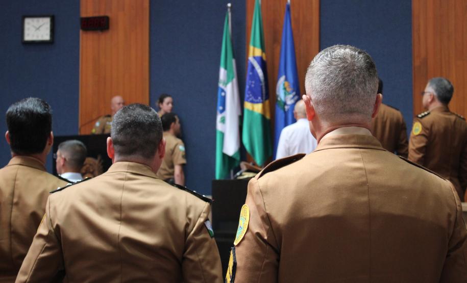 São José dos Pinhais, 23 de novembro de 2018