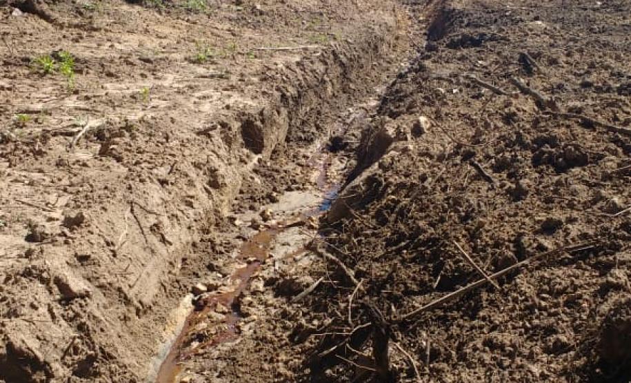 Denúncia auxilia policiais ambientais a encontraram desmatamento de área de preservação em Tamarana (PR)