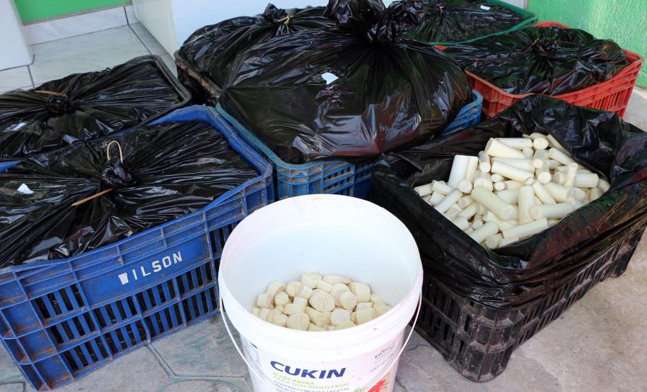 Guaratuba, 11 de janeiro de 2019. Flagrante de Transporte Irregular de Palmito