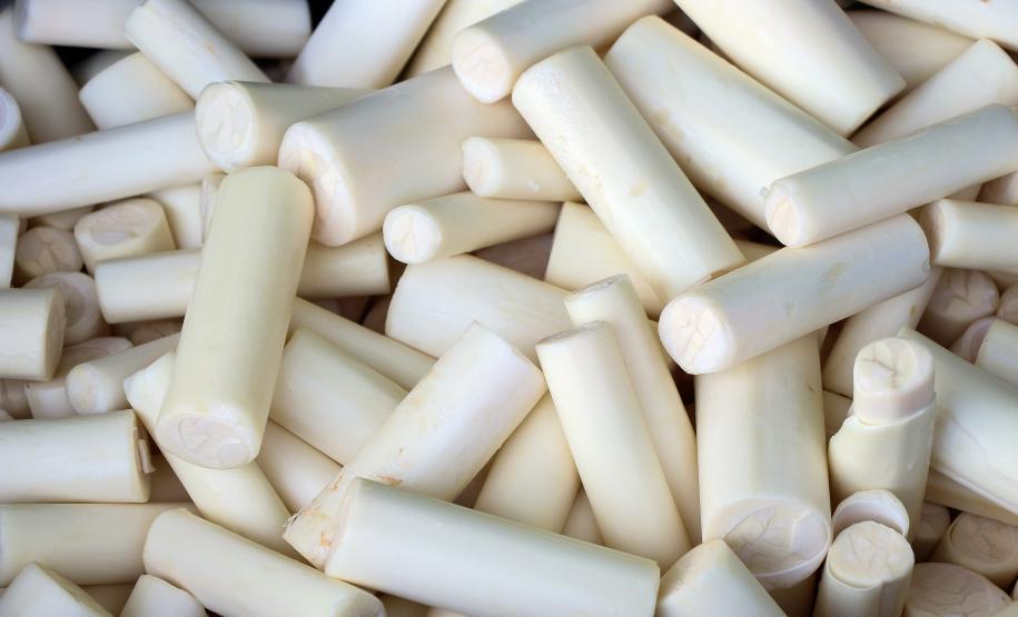 Guaratuba, 11 de janeiro de 2019. Flagrante de Transporte Irregular de Palmito