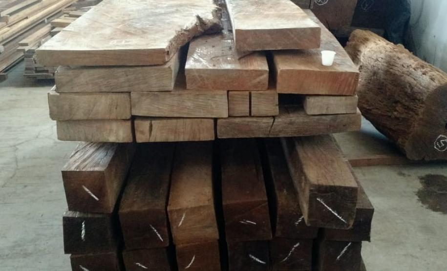 Produtos de origem vegetal sem licença são apreendidos pelo BPAmb-FV em Campo Magro (PR)