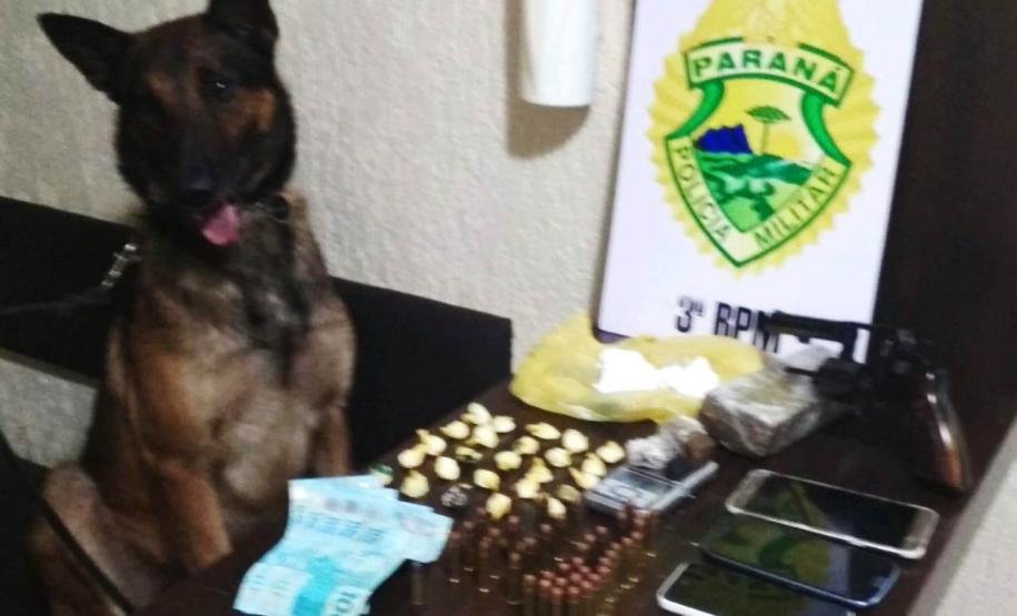 Ações distintas resultam na apreensão de drogas, veículos e até cachorros utilizados na prática de caça em Pato Branco (PR)