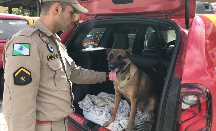 Governo do Paraná envia equipe com cão certificado internacionalmente para ajudar nas buscas em Brumadinho