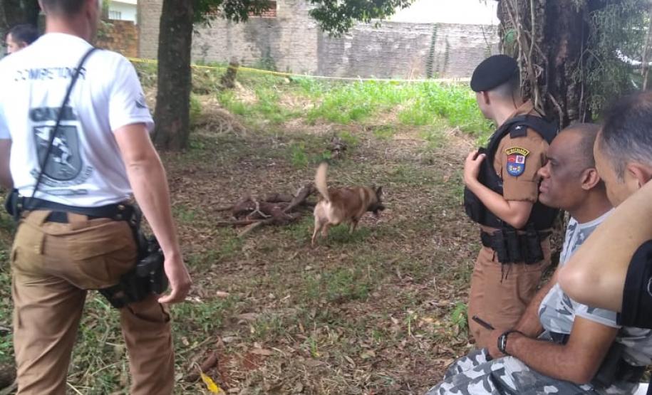 Cão Thor conquista o pódio do 1º Desafio de Eficiência Canina, no Oeste do estado