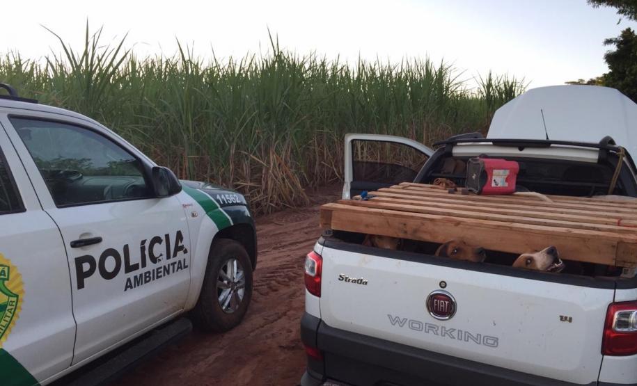 Cachorros utilizados na prática de caça irregular são resgatados pela Polícia Ambiental em Cruzeiro do Oeste (PR); três são encaminhados