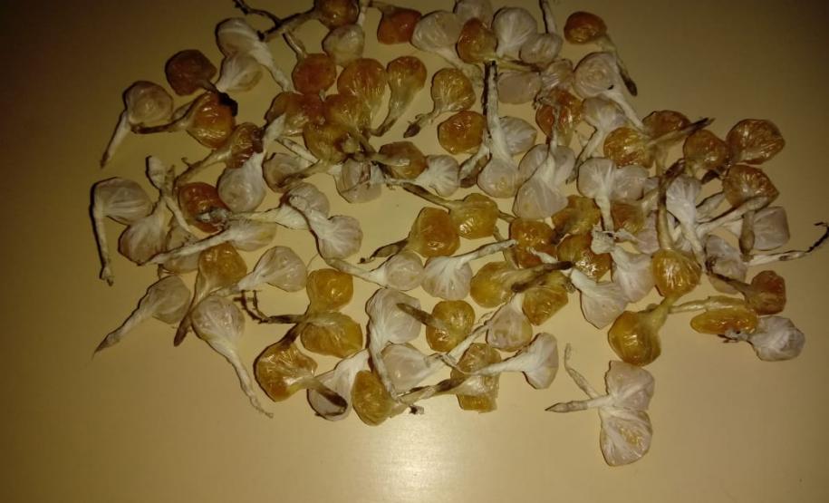 Homem é preso suspeito de envolvimento com tráfico de drogas no Norte do estado; 91 pedras de crack foram apreendidas