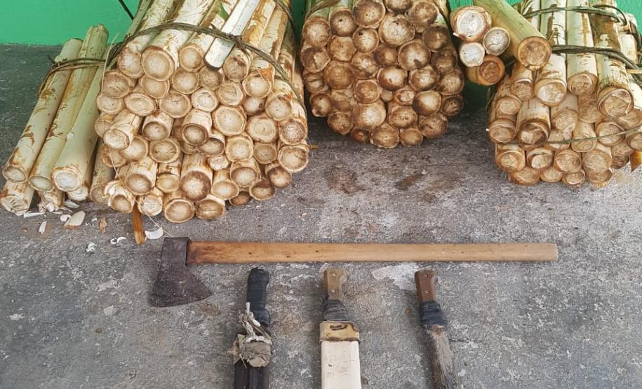 BPAmb-FV apreende 100 unidades de palmito juçara in natura; duas pessoas são presas