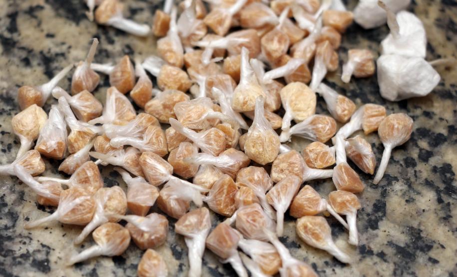 Pontal do Paraná, 02 de março de 2019. Operação Verão 2018/2019 - Flagrante de Tráfico